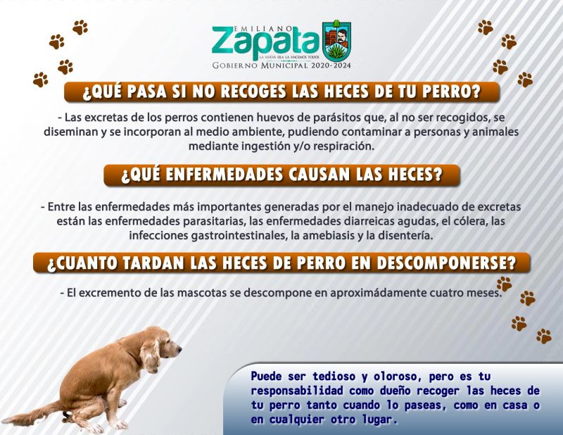La Coordinación de Salud, sanidad y control canino con comparte el tema sobre las heces de tu perro.